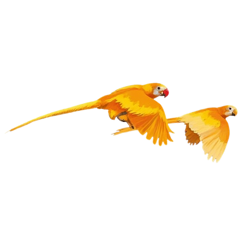 ARA-Tec Logo (2 Gelb-Orange Vögel)